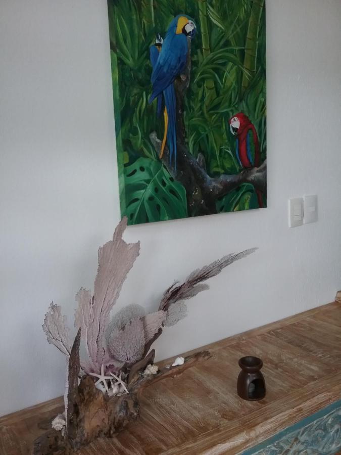 Casa Rioja Playacar Bed and Breakfast Playa del Carmen Eksteriør billede
